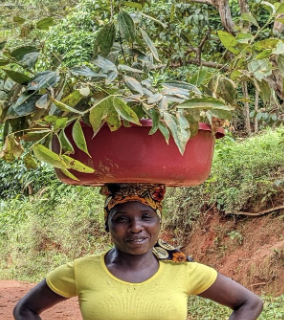 May 2024 Tabora Forest Gardens Project Update: Maria Builds A Family Home